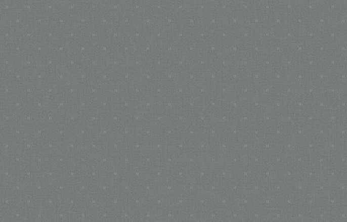 KN 5 005/1 Денди