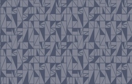 GM 6 021/2 Geometrica