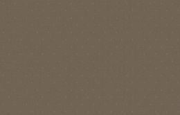 KN 5 010/1 Денди