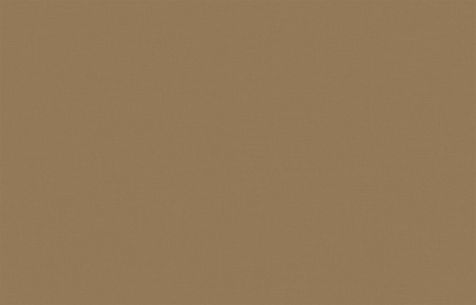 Обои BRIT 31 004 Шервуд