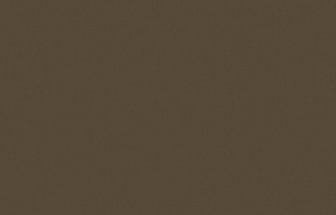 KN 7 004/1 Денди