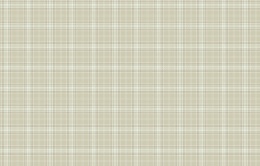 KN 2 001/1 Денди