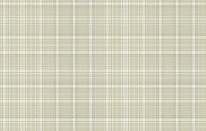 KN 2 001/1 Денди