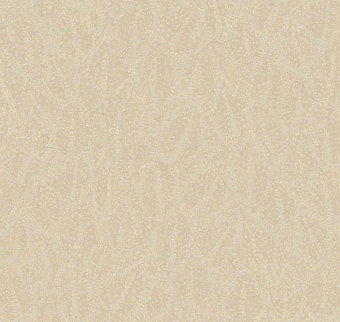 Pm 7 005/1 A La Prima