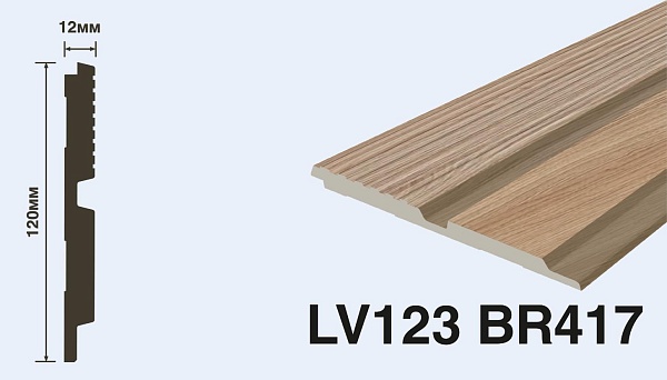 LV123 BR417 Панель