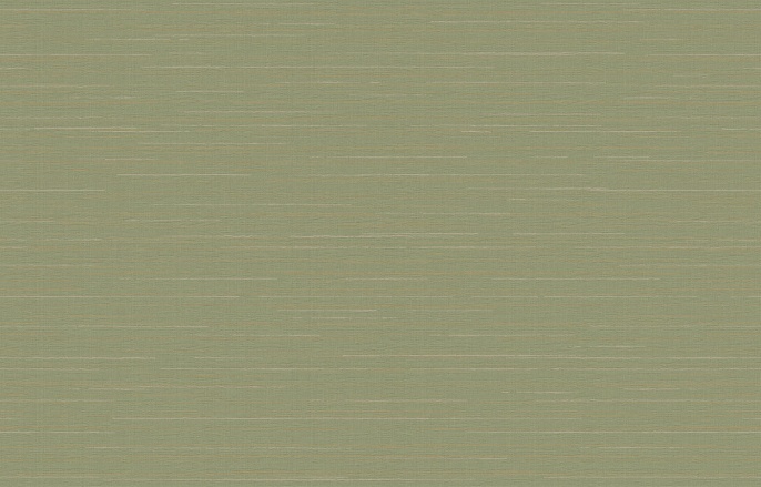 Ins 9 005/1 Amazonia