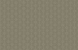 Обои BRIT 21 005/2 Шервуд