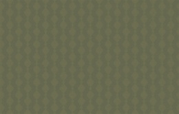 Обои BRIT 21 005/1 Шервуд