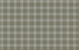 KN 2 005/1 Денди