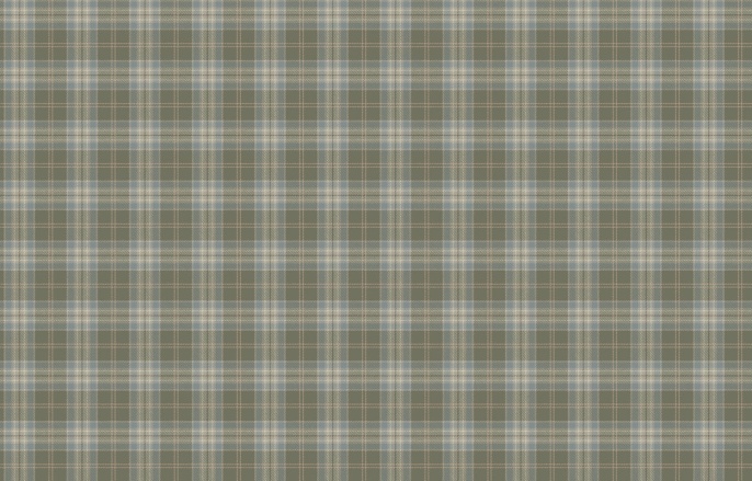 KN 2 005/1 Денди