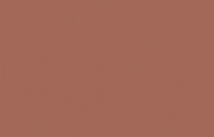 Обои BRIT 31 003 Шервуд