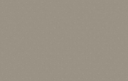 KN 5 002/2 Денди