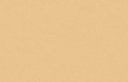 Neo 3 004 Neo Classic