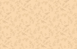 Neo 8 002 Neo Classic