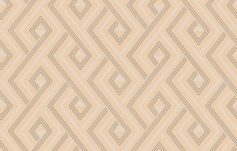 Ins 4 002/2 Amazonia