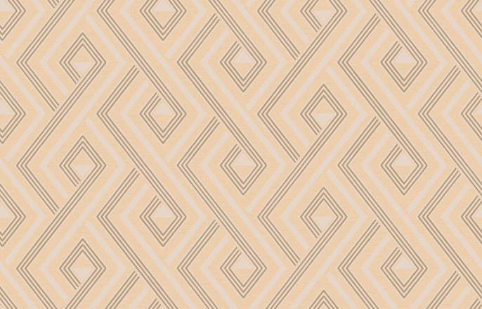 Ins 4 002/2 Amazonia