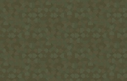 KTS 2 005/1 Микадо