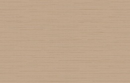 Ins 9 002/1 Amazonia