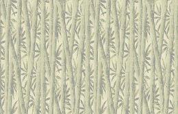 Ins 7 005/2 Amazonia