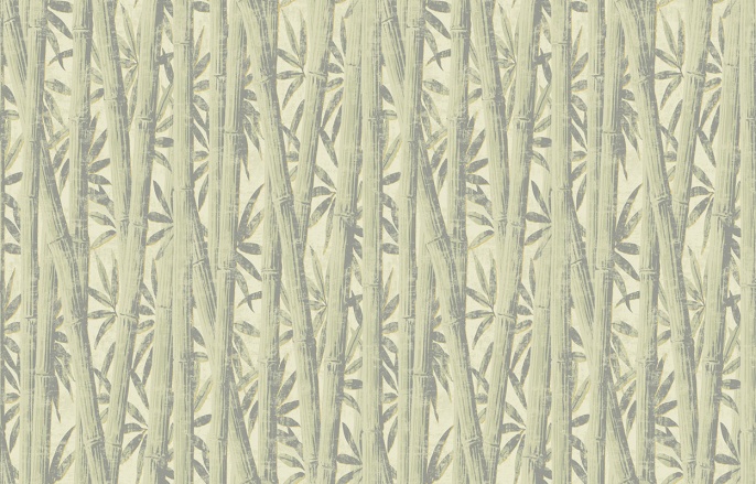 Ins 7 005/2 Amazonia