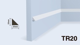 Молдинг TR20