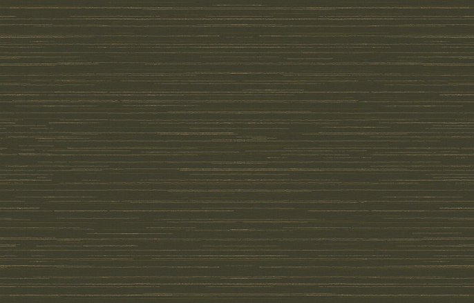 Ins 9 005/2 Amazonia