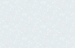 Neo 8 006 Neo Classic