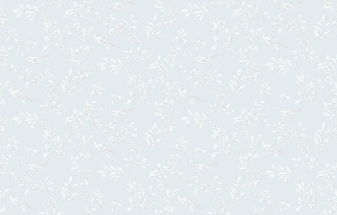 Neo 8 006 Neo Classic