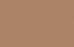 LUN 10 004/1 Сага