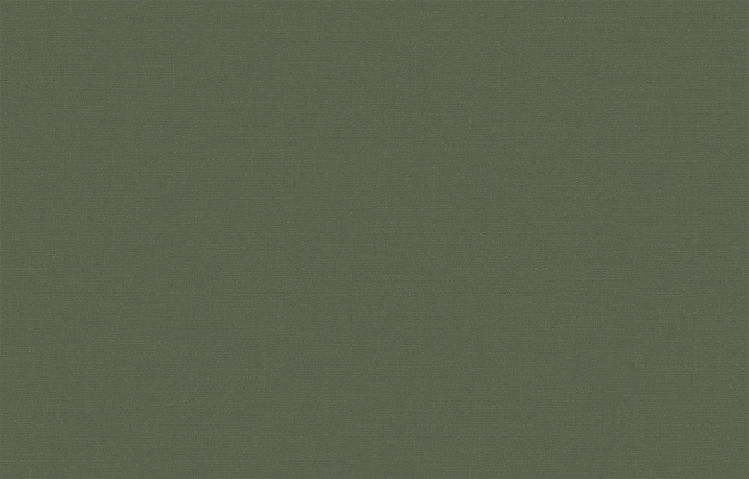 Обои BRIT 31 005/3 Шервуд