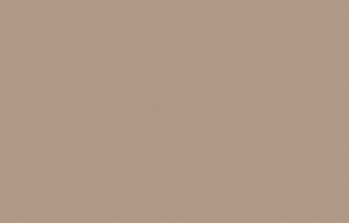 Обои BRIT 31 002/2 Шервуд