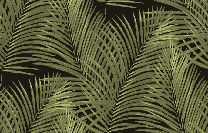 Ins 3 005/3 Amazonia